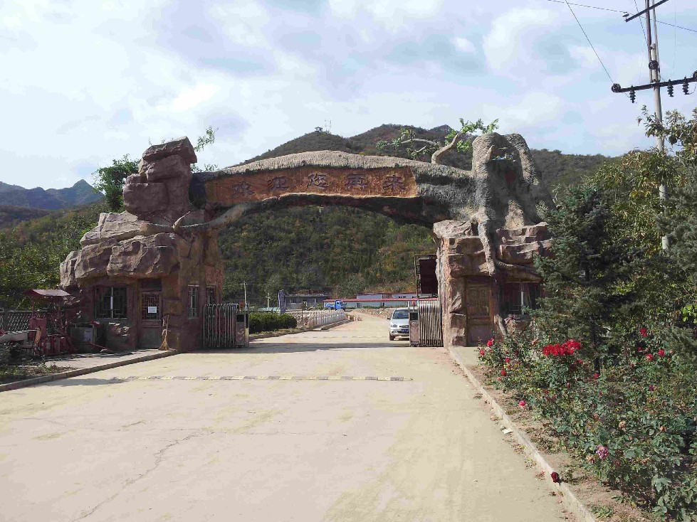 2011-10-15 11.13.46.jpg