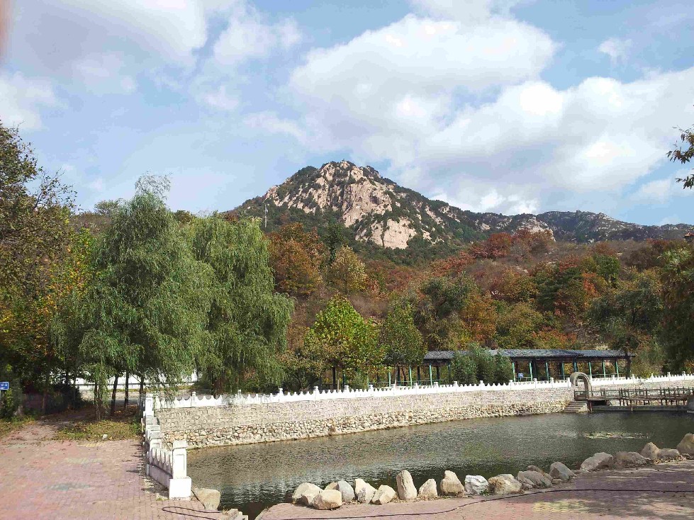 2011-10-15 11.36.51.jpg