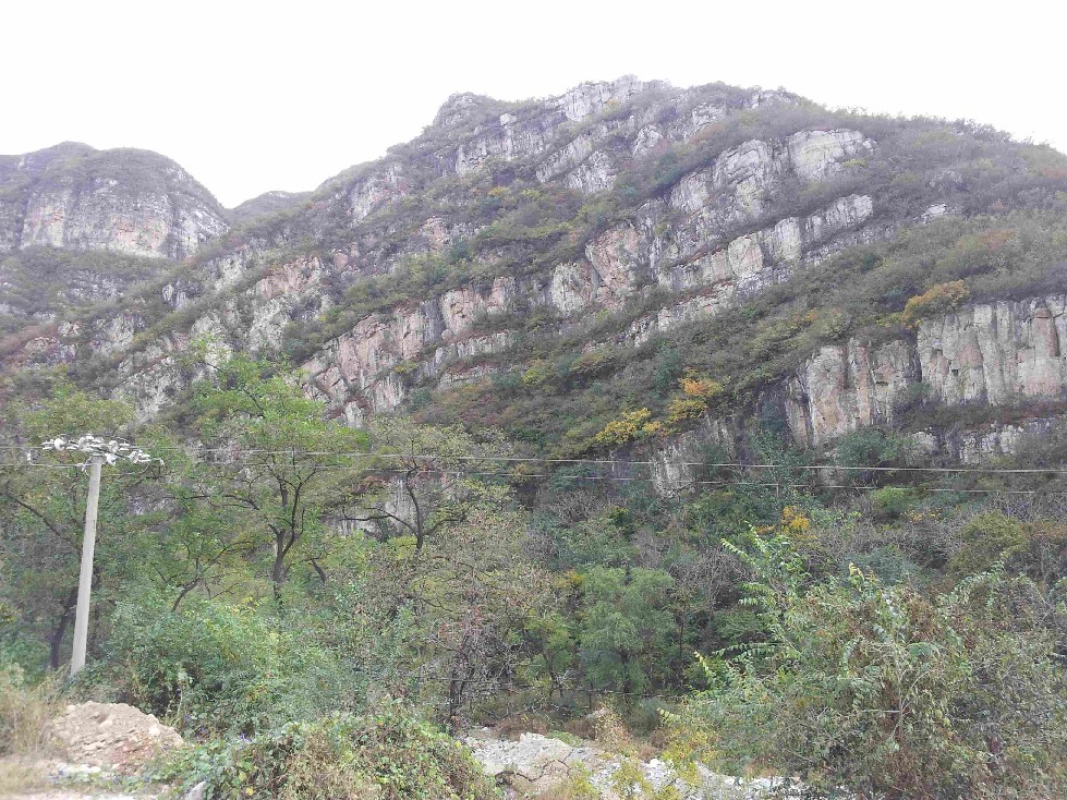 2011-10-15 12.25.59.jpg