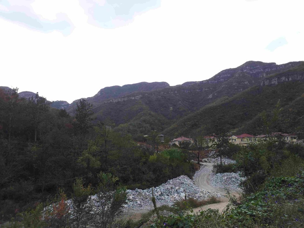 2011-10-15 12.26.03.jpg