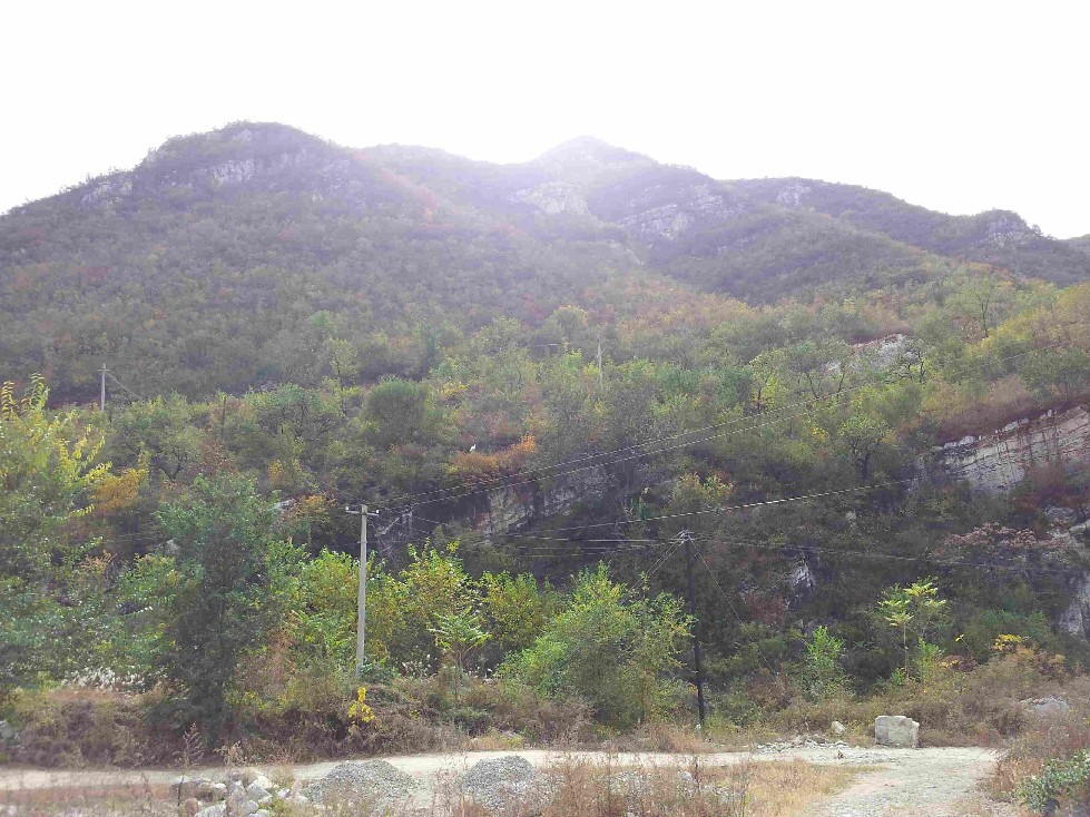 2011-10-15 13.00.59.jpg