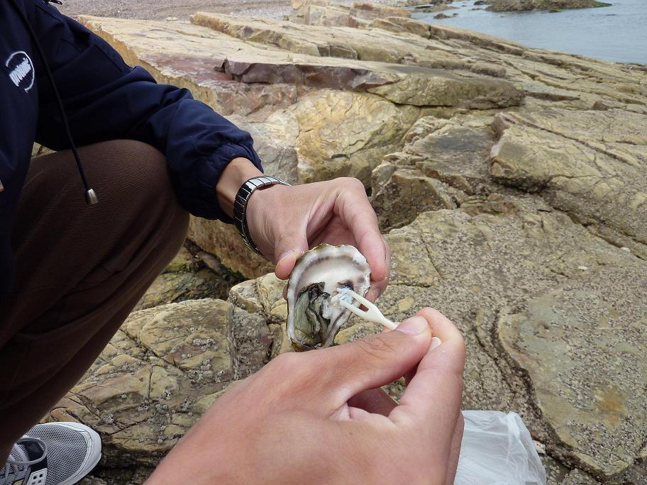 生蠔啊！！！哈哈 鮮的不行！！！！！！