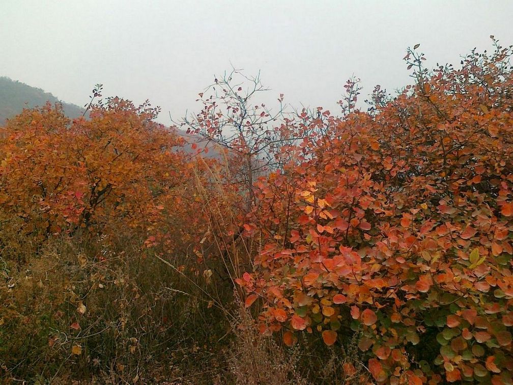 骑行照片 012.jpg