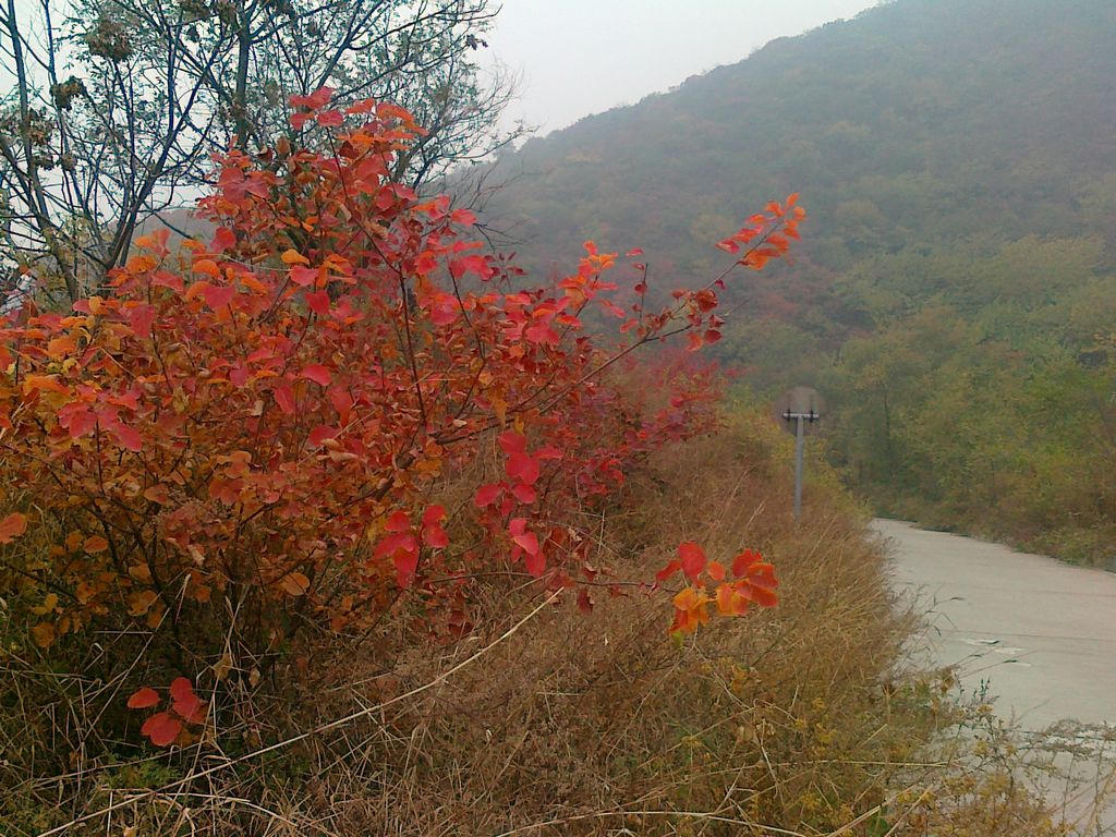 骑行照片 011.jpg