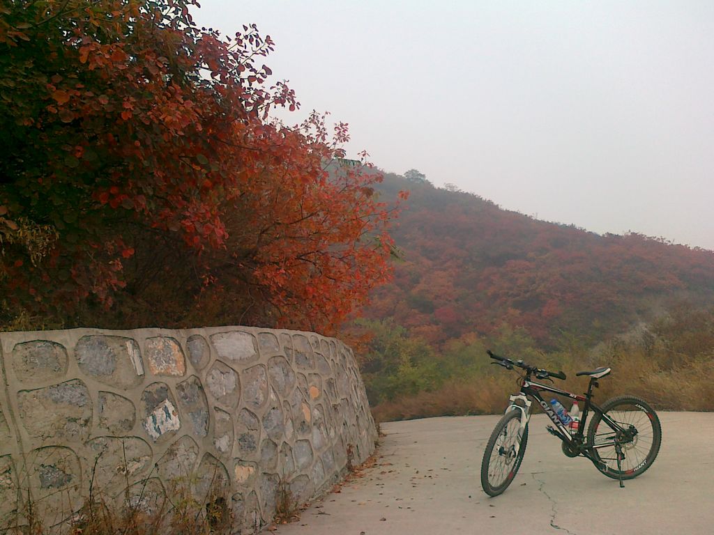 骑行照片 009.jpg