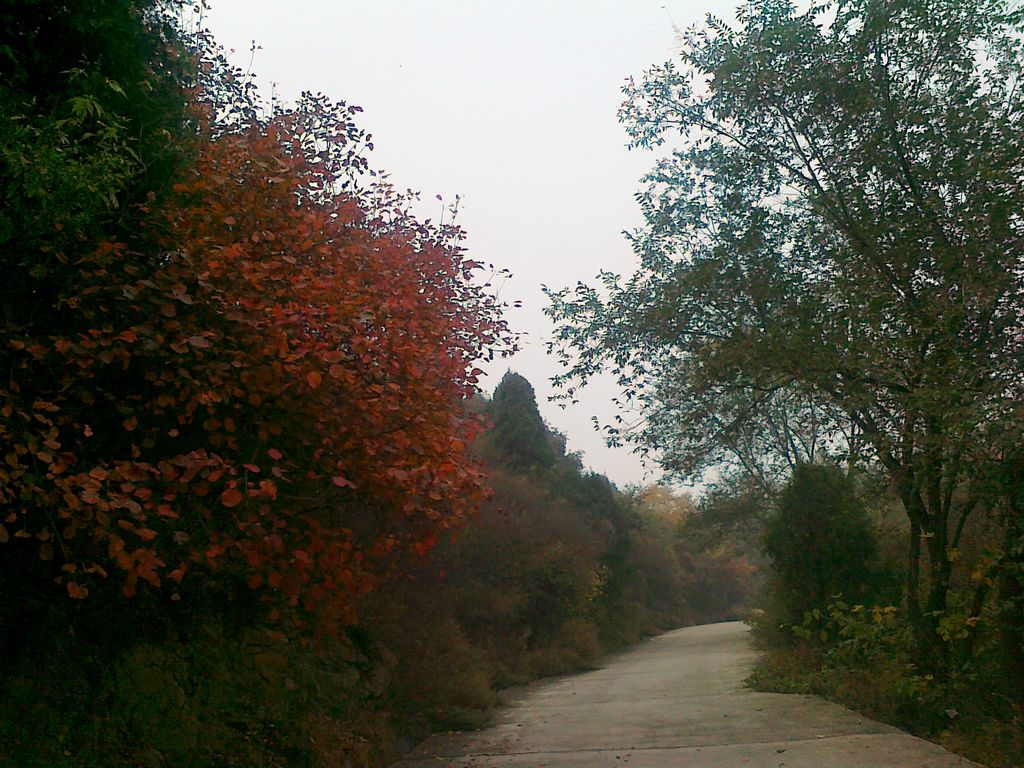 骑行照片 008.jpg