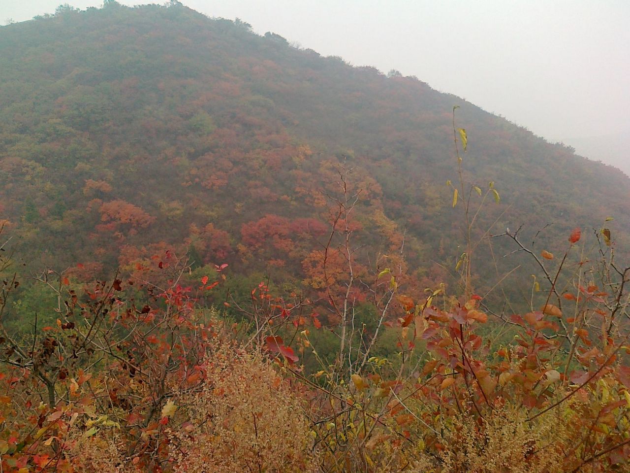 骑行照片 007.jpg