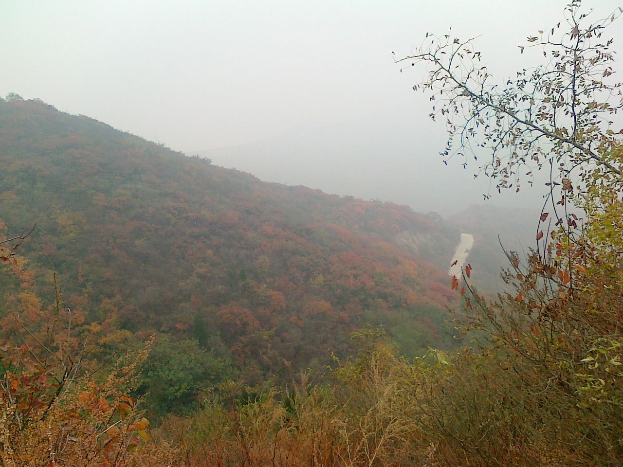 骑行照片 005.jpg