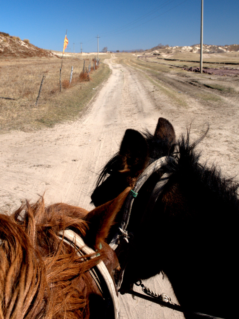 骑马比骑摩托车刺激多了！