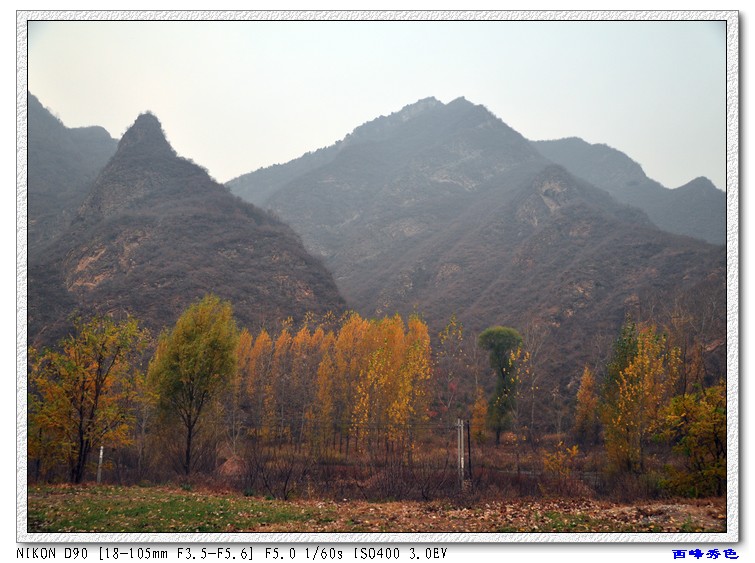 秋林.jpg