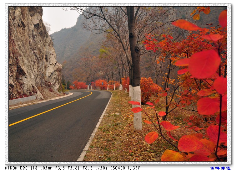 秋路.jpg