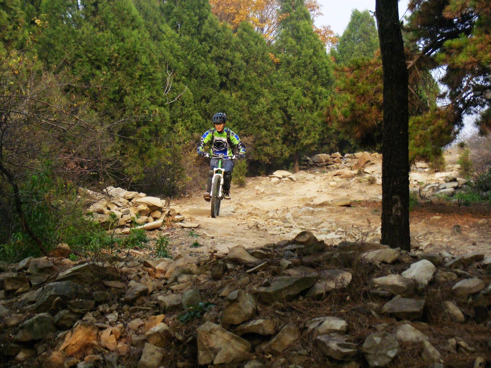 飞起来的时候没拍到