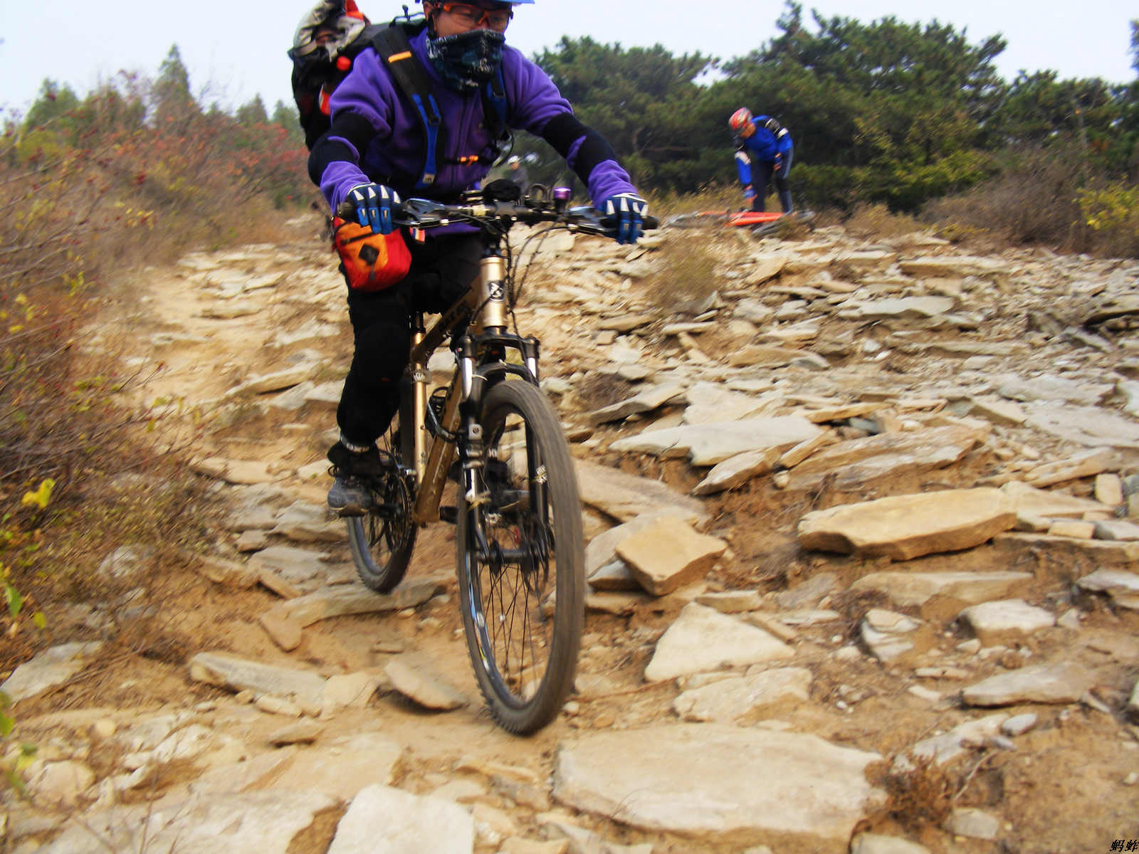 金牌领队锂电池