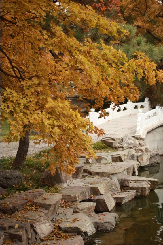 钓鱼台的风光美