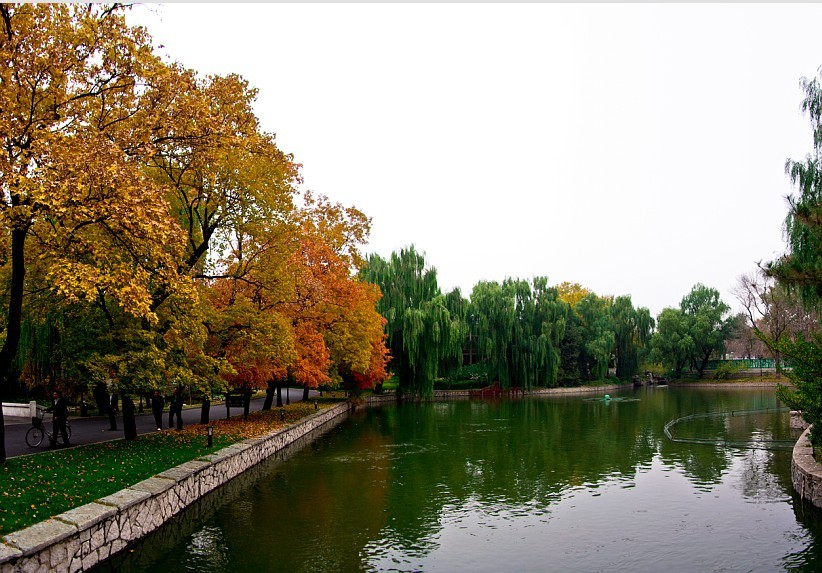 钓鱼台的风光美