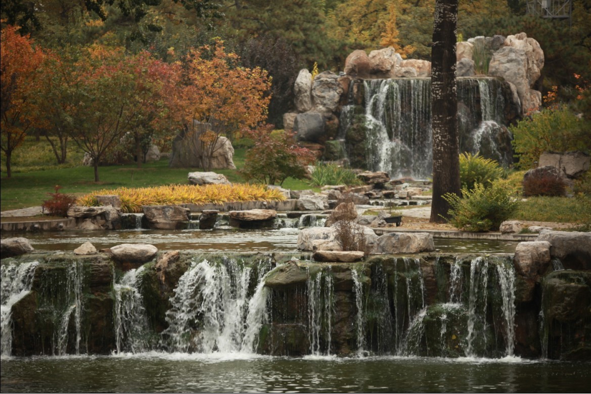 钓鱼台的风光美