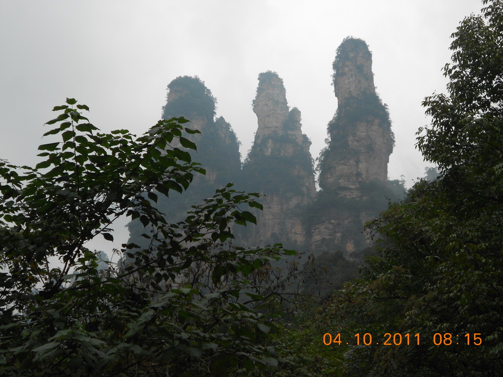 10.4.天子山 (18).jpg