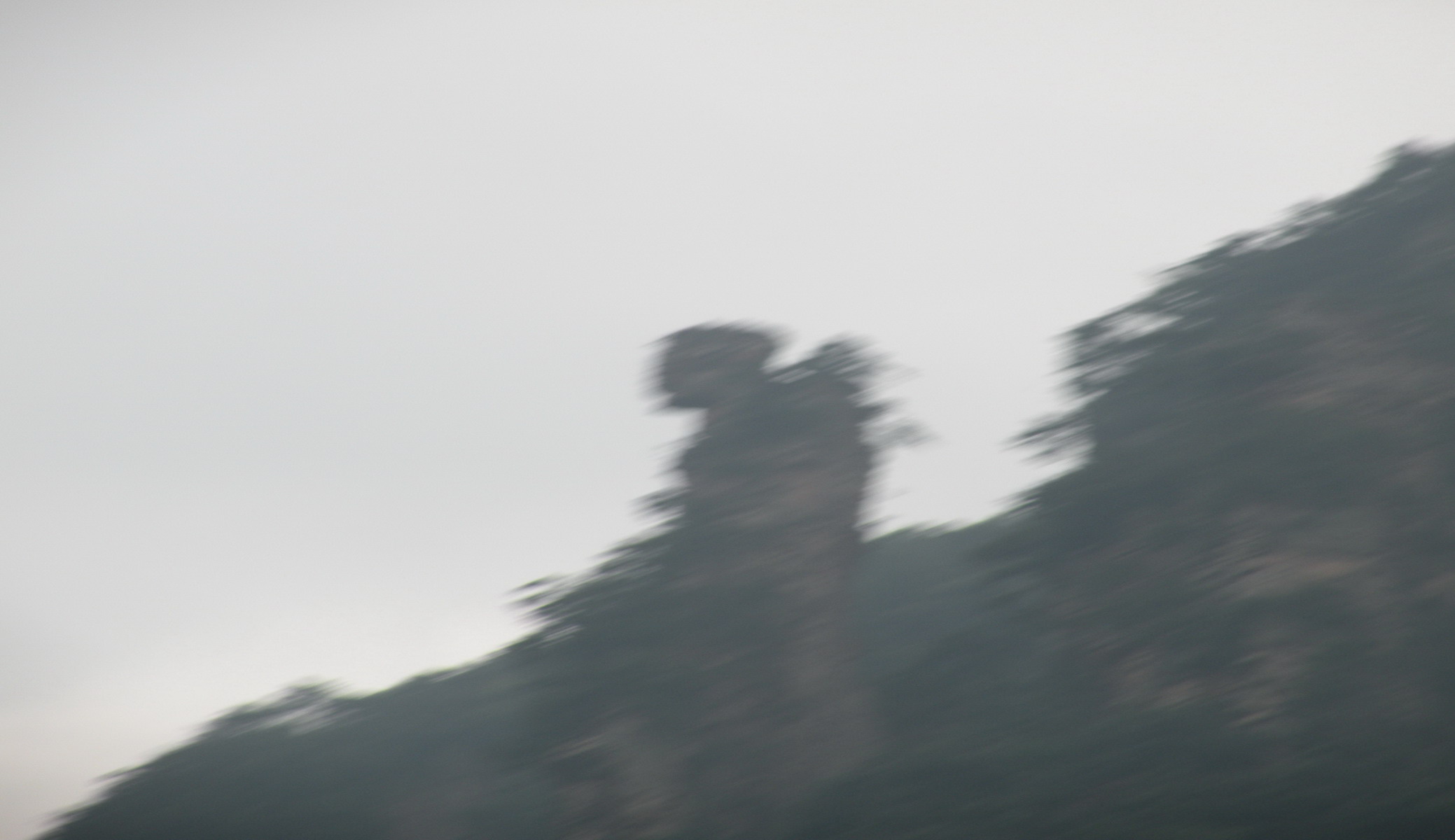 2011.10.4.武凌源 (24).jpg