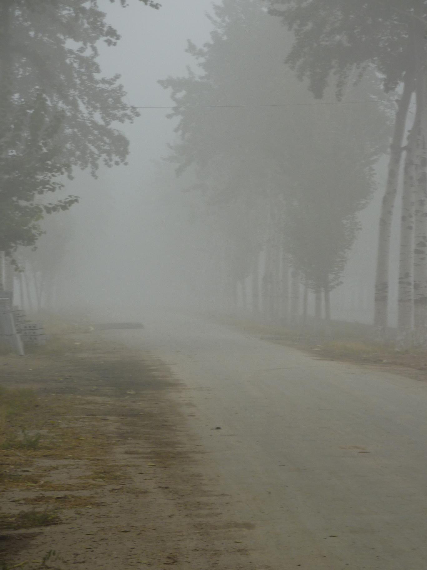 速度不敢超30KM/H，要不看不見前面。。。