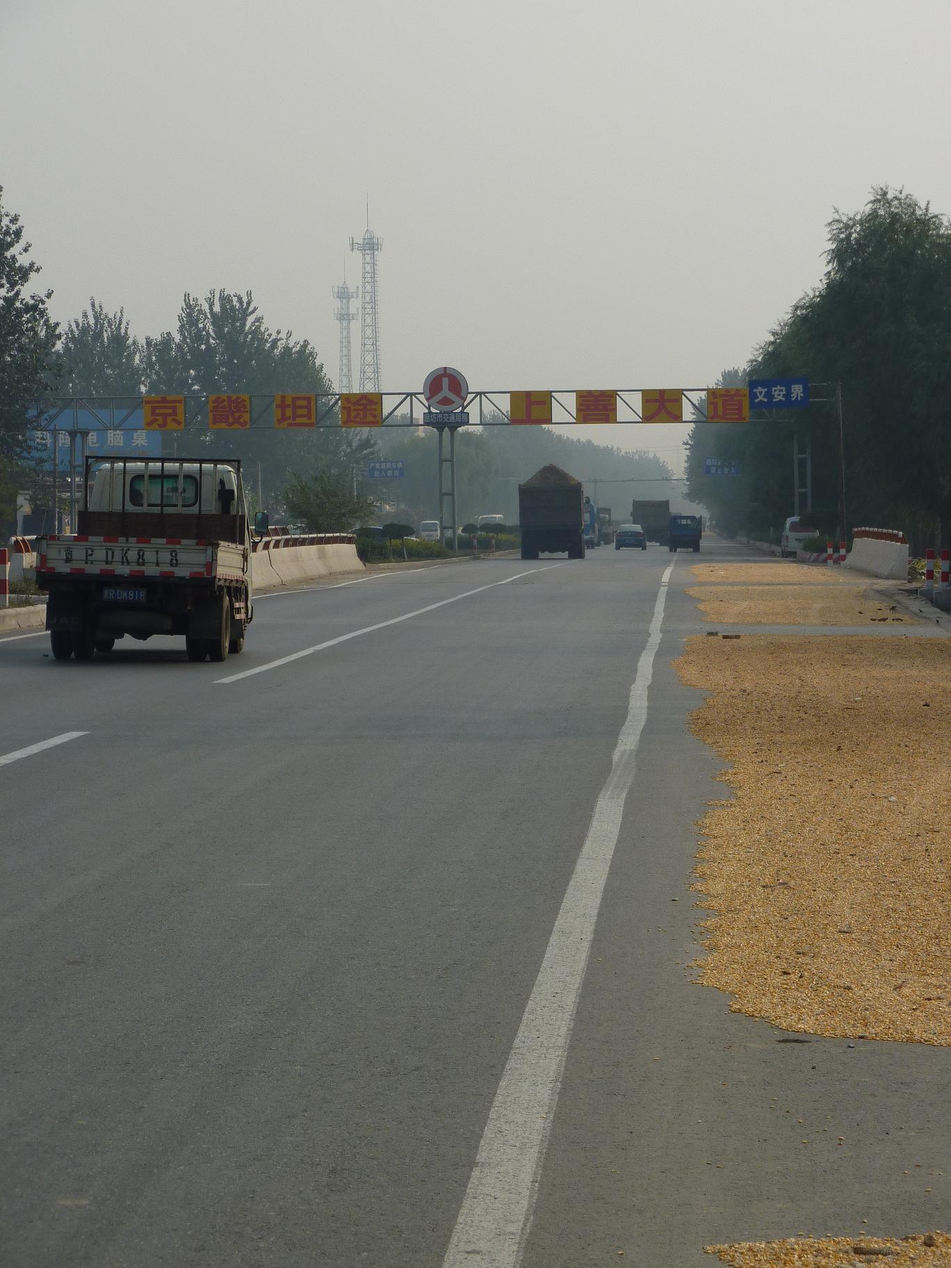 回來的一路上都是這樣的路況。幾乎整條自行車道都被曬的糧食佔據。還是有些危險的。經常要和機動車搶道。 . ...