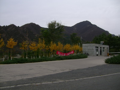 DSC05498_调整大小.JPG