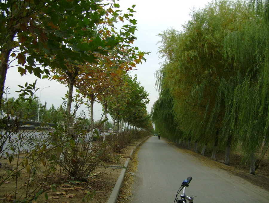 DSC05508_调整大小.JPG