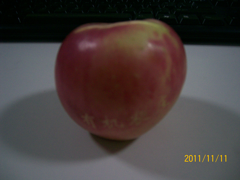 展会和活动 012_副本.jpg