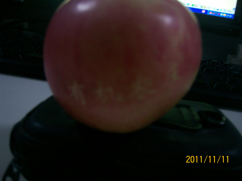 展会和活动 013_副本.jpg