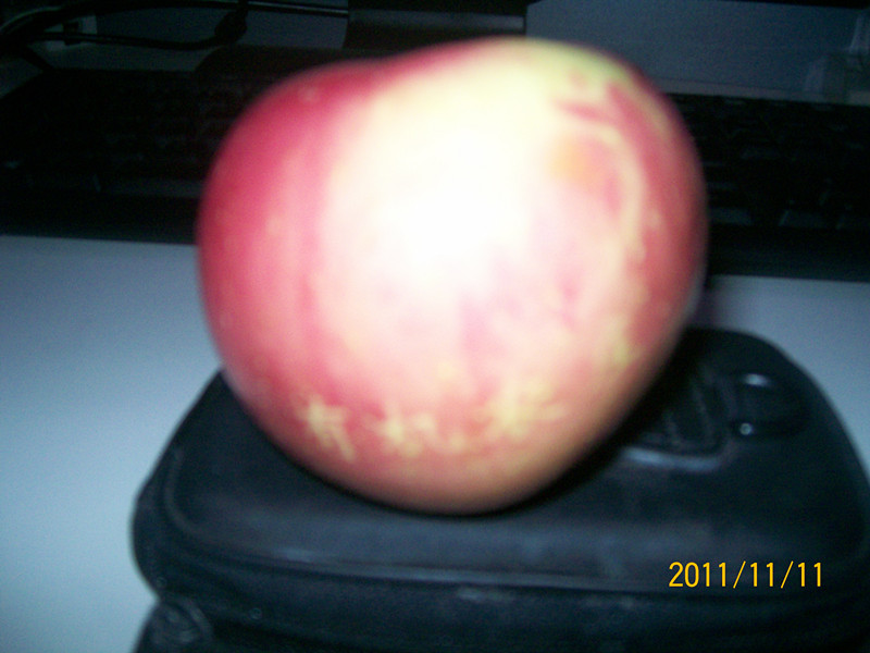 展会和活动 014_副本.jpg