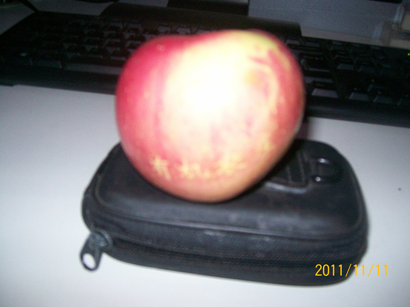 展会和活动 015_副本.jpg