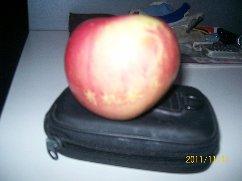 展会和活动 016_副本.jpg