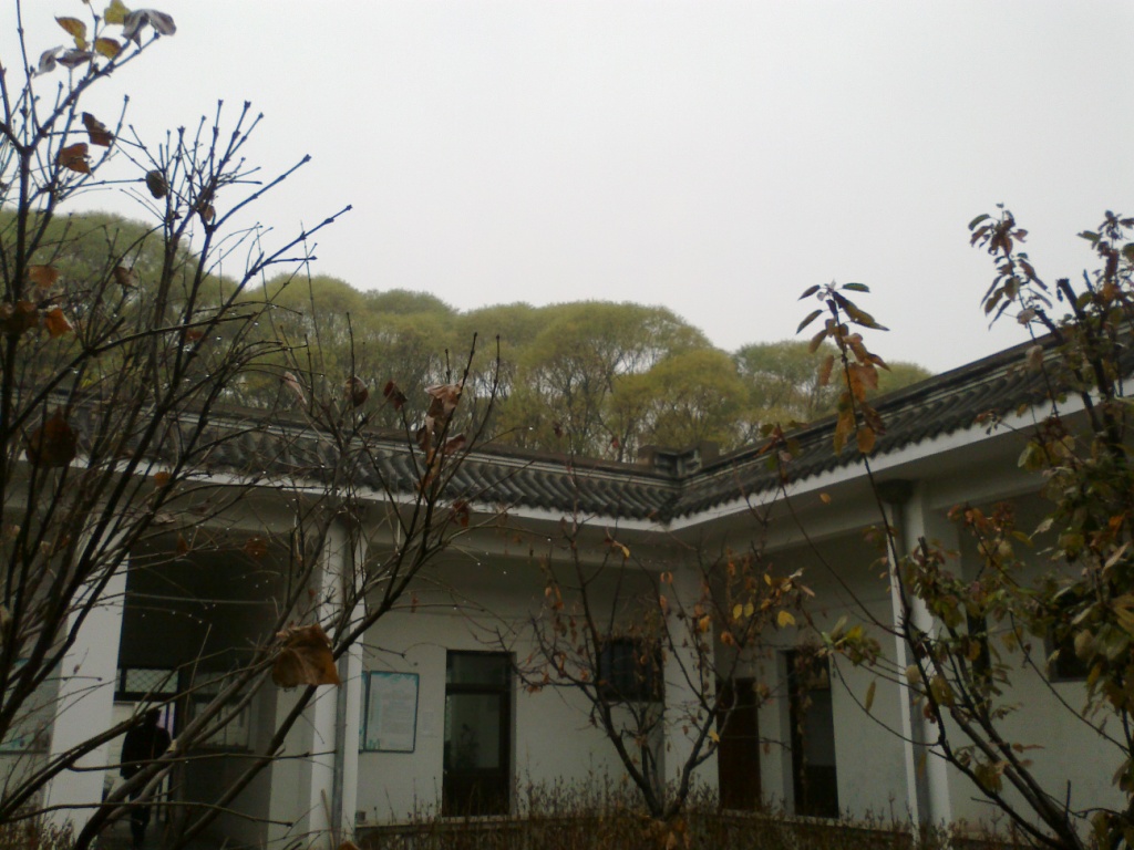 201111172162.jpg