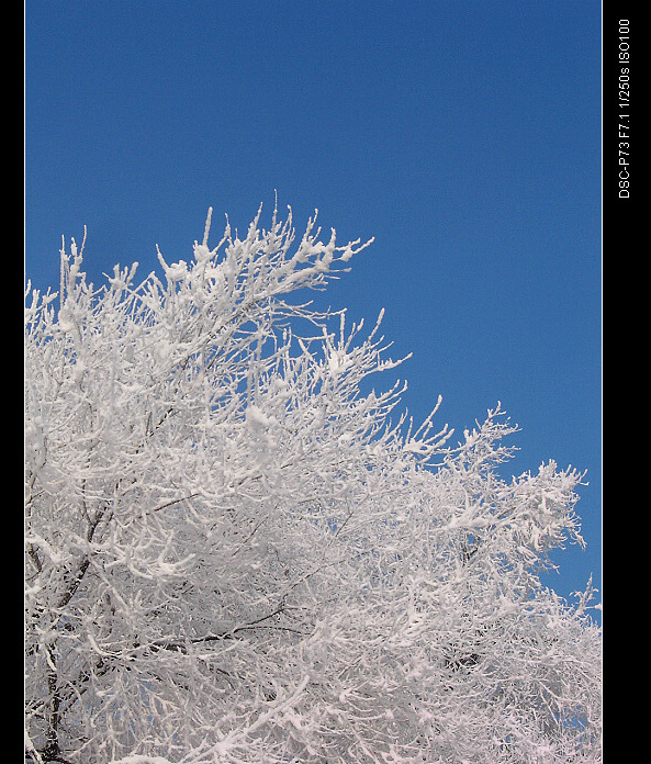 nEO_IMG_DSC01183.jpg