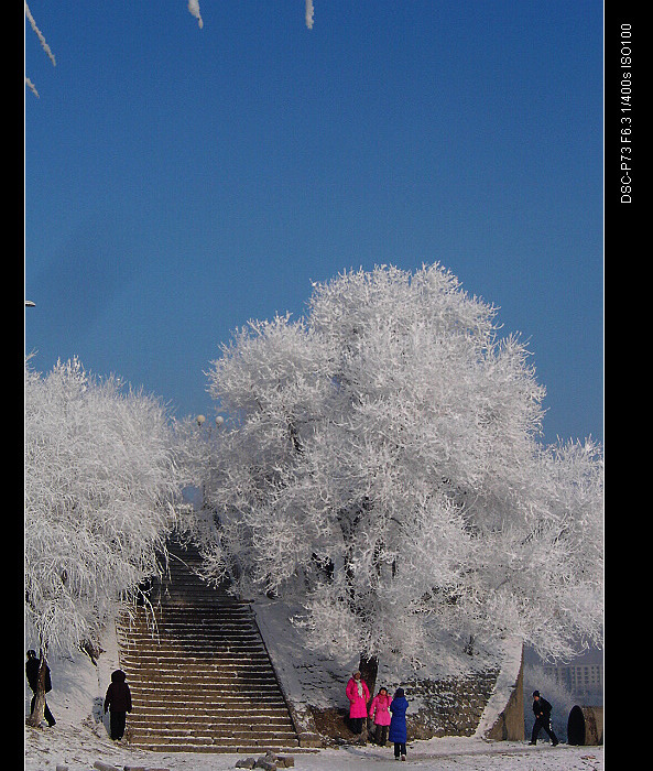 nEO_IMG_DSC01187.jpg