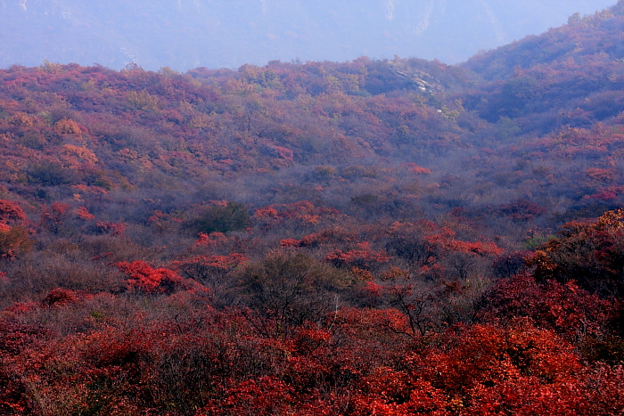 IMG_4676pang8.JPG