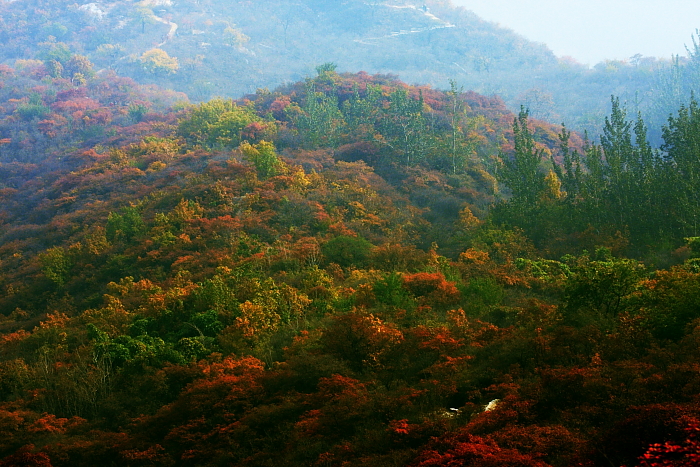 IMG_4686pang8.JPG