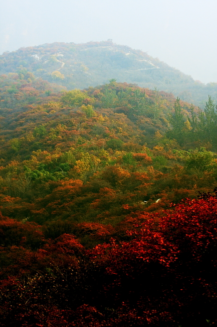 IMG_4713pang8.JPG