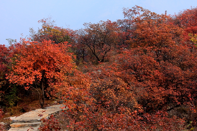 IMG_4717pang8.JPG