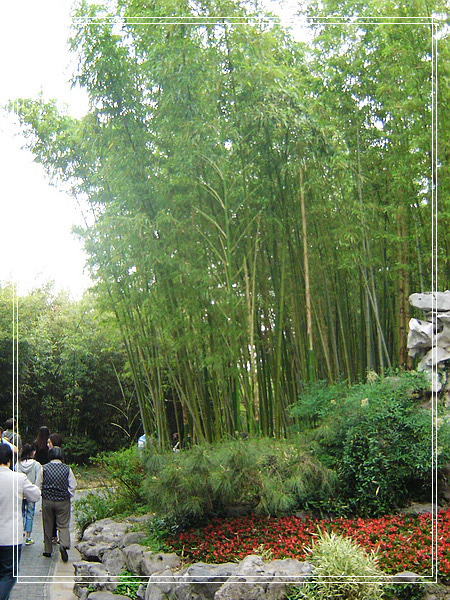 nEO_IMG_DSC01611.jpg
