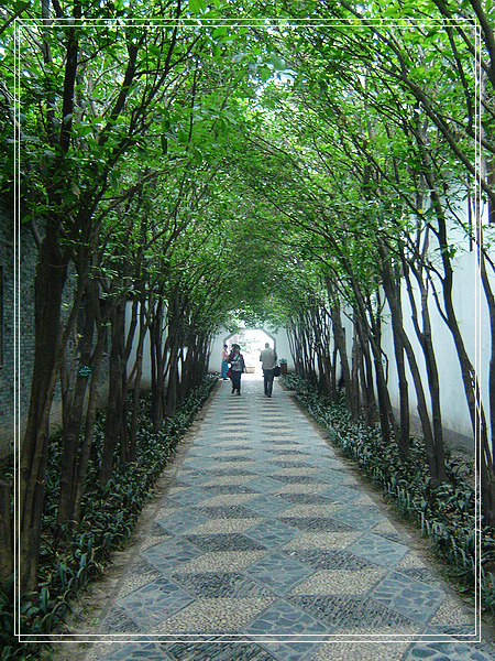 nEO_IMG_DSC01618.jpg