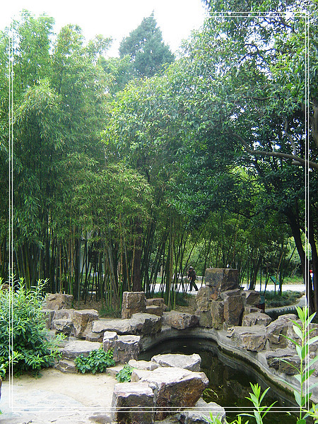 nEO_IMG_DSC01617.jpg