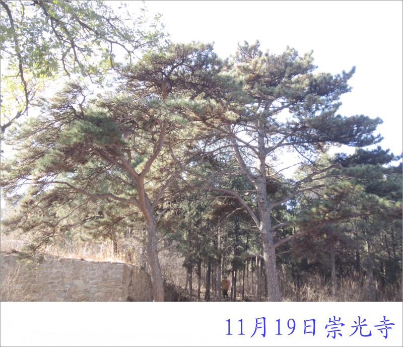 conew_照片 035.jpg