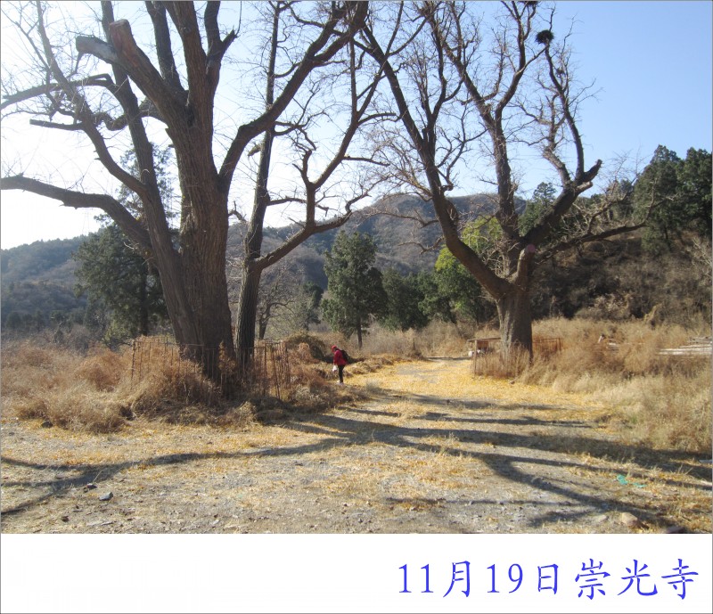 conew_照片 006.jpg