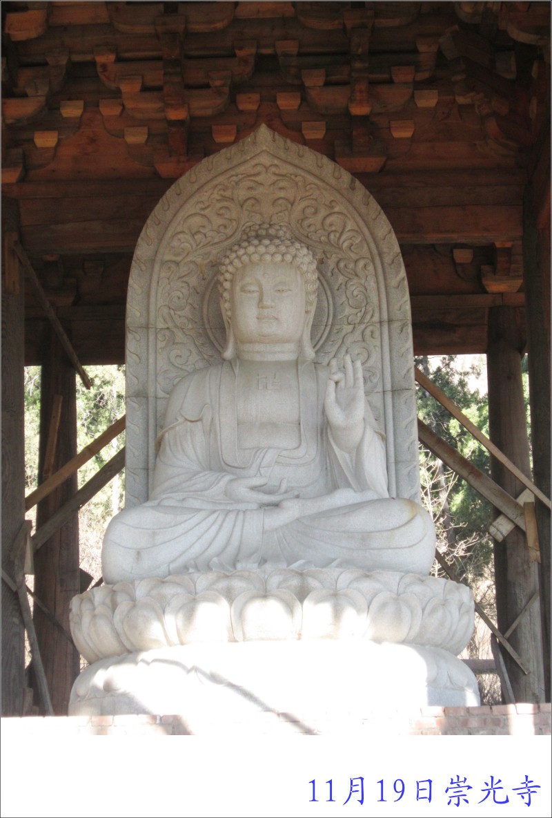 conew_照片 007.jpg