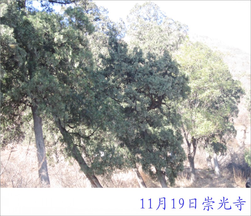 conew_照片 009.jpg