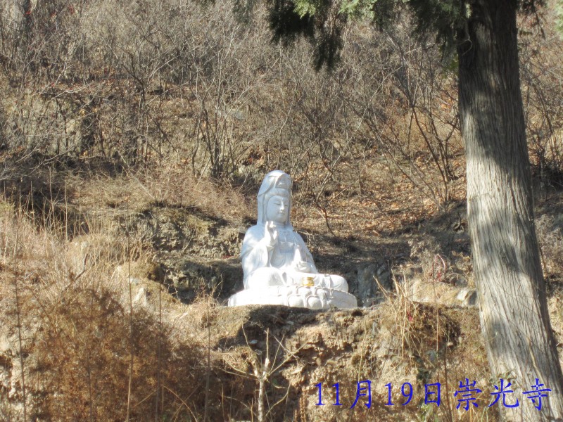 conew_照片 010.jpg