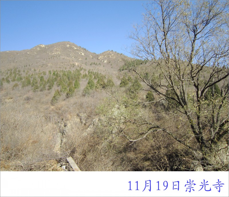 conew_照片 013.jpg