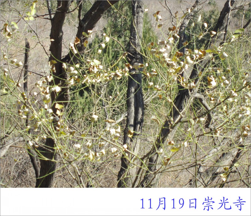 conew_照片 014.jpg