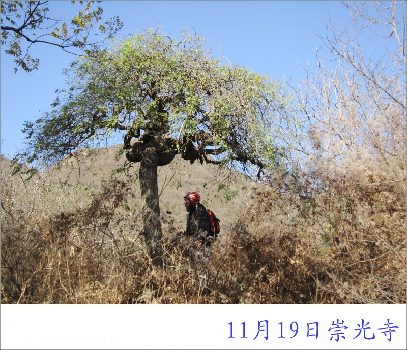 conew_照片 023.jpg