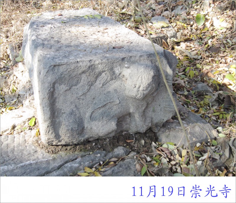 conew_照片 024.jpg